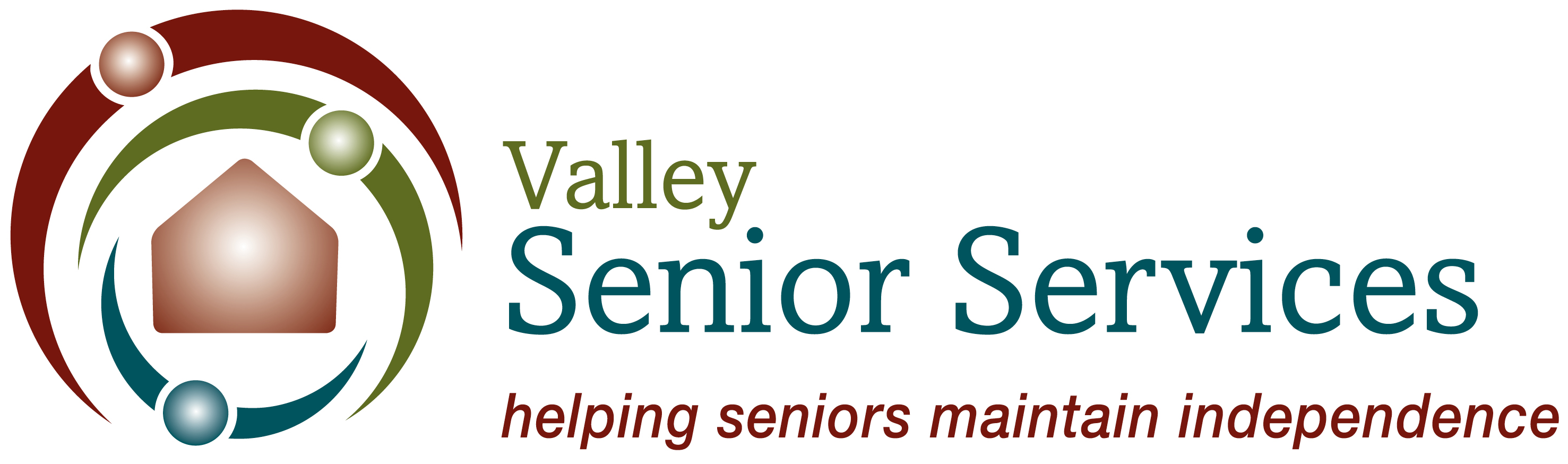 Valley Senior Services.png