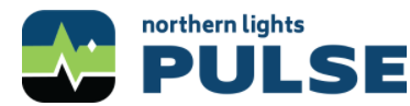Northern Lights Youth Services.jpg