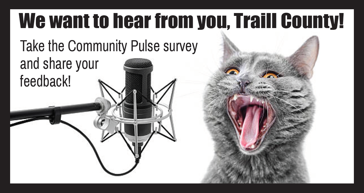 Community Pulse Survey